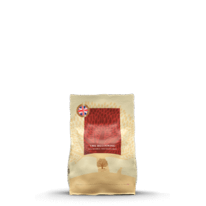 -KG-BRITISH-HERITAGE-BEGINNING