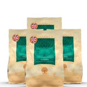 PACK 4 x 2,5KG ESSENTIAL STAMINA SMALL SIZE