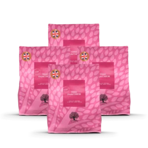 PACK 4 x 3kg ESSENTIAL THE PANTHER