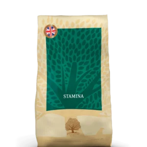 ESSENTIAL STAMINA 10KG