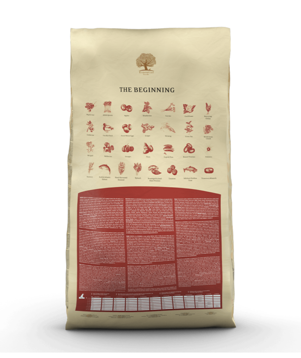 ESSENTIAL the BEGINNING 10KG - Imagen 4