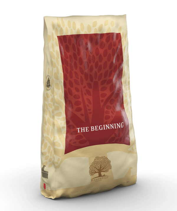 ESSENTIAL the BEGINNING 10KG - Imagen 3