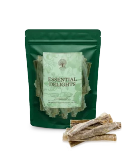 essential-iceland-fish-delights