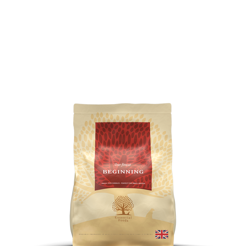 BEGINNING-1kg