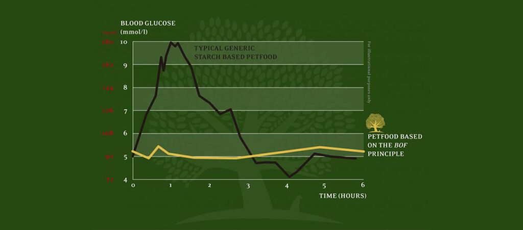 azucar en sangre BOF en perros