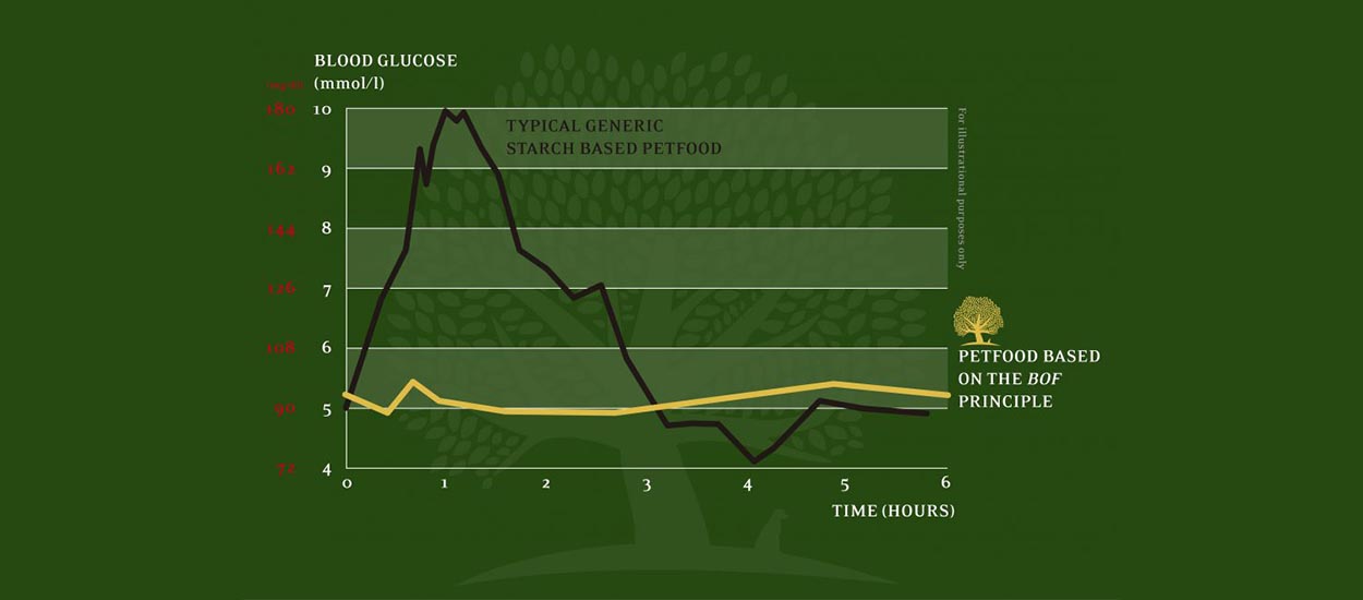 azucar en sangre BOF en perros