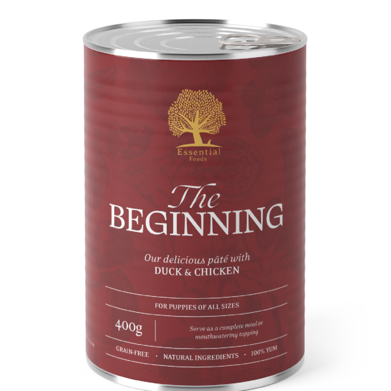ESSENTIAL THE BEGINNING PÂTE 400G