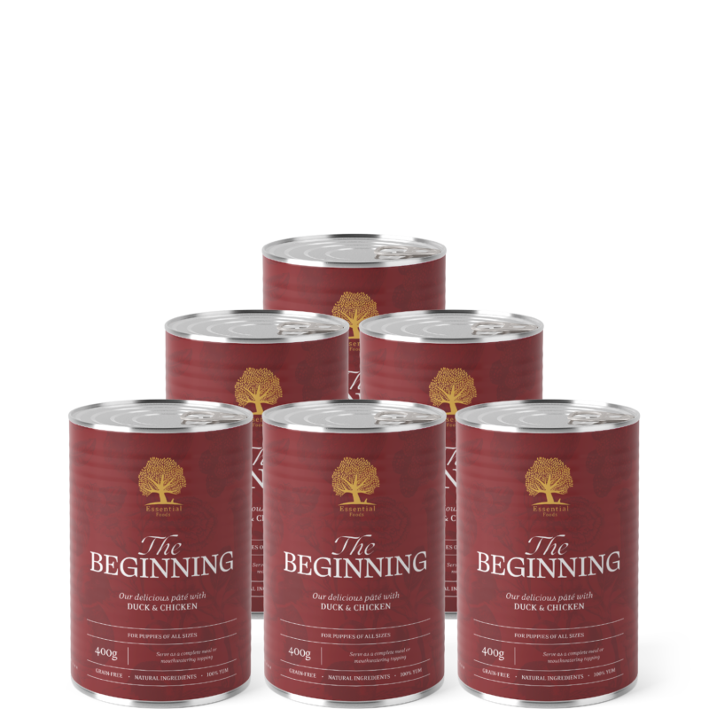 ESSENTIAL THE BEGINNING PÂTE 6x400G