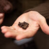 ESSENTIAL LAMB MINI DELIGHTS 100gr - Imagen 3