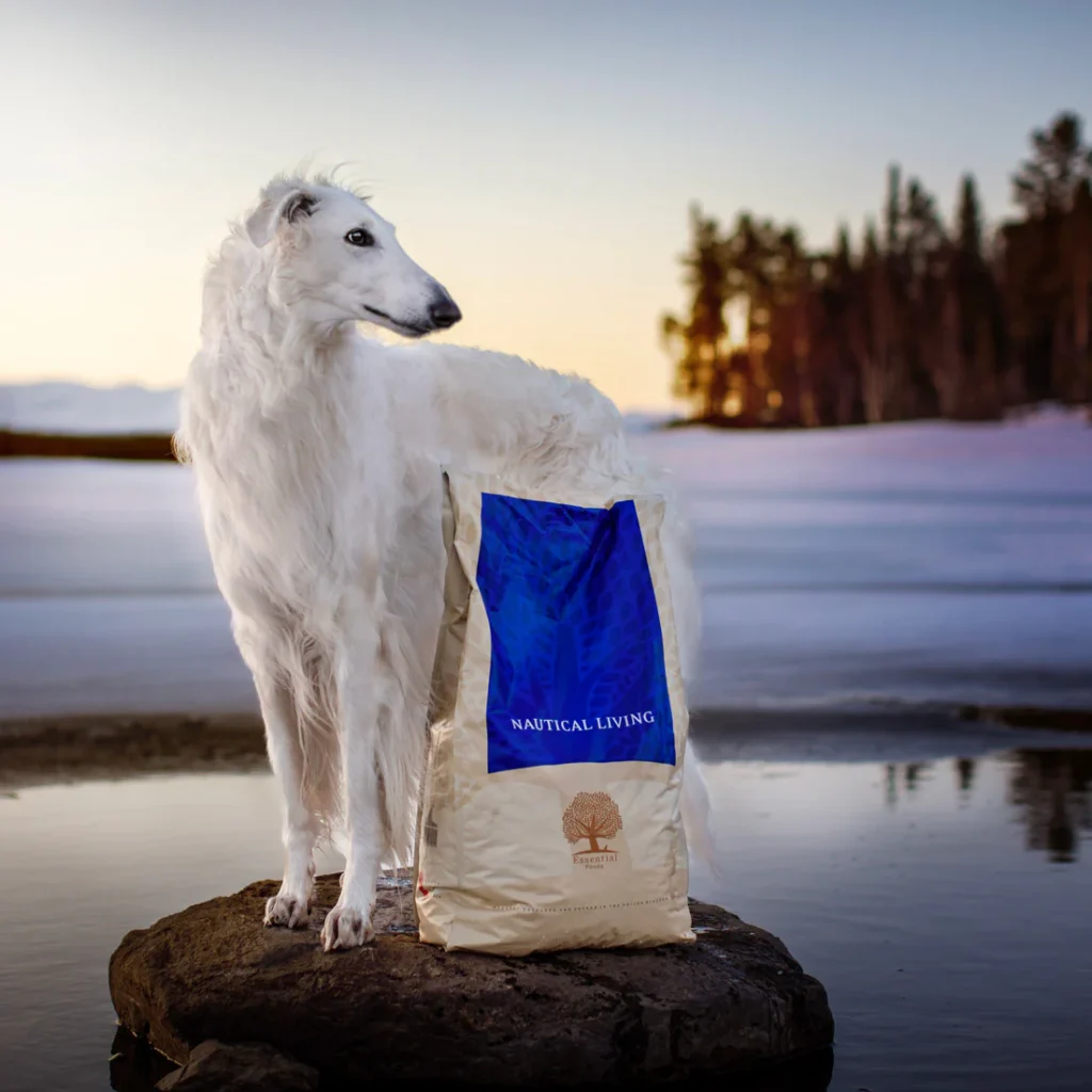 Nautical-Living-5_-_zarwoe.oligarch