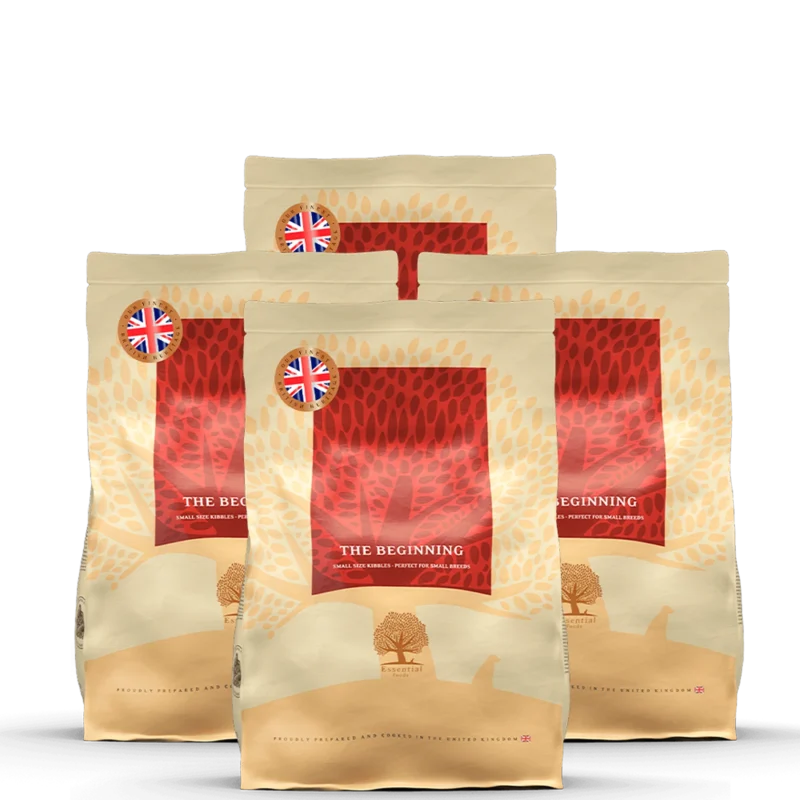 essential the beginning