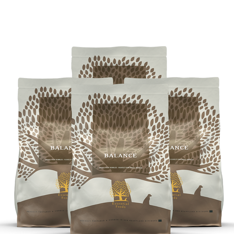 4 x 2,5KG ESSENTIAL BALANCE SMALL SIZE HL