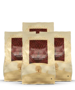 essential the beginning large breed