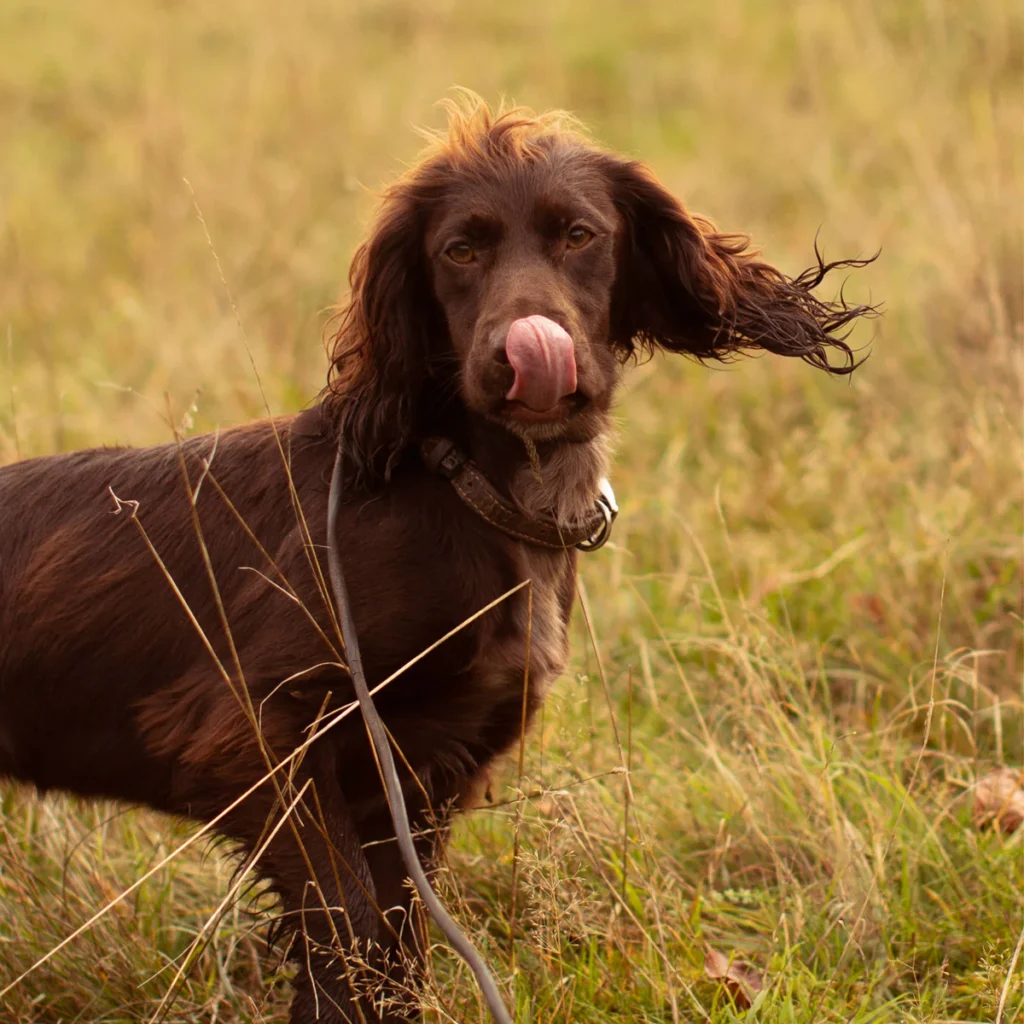 2_f1df6e96-68df-498f-ad09-3ae25f7cba26