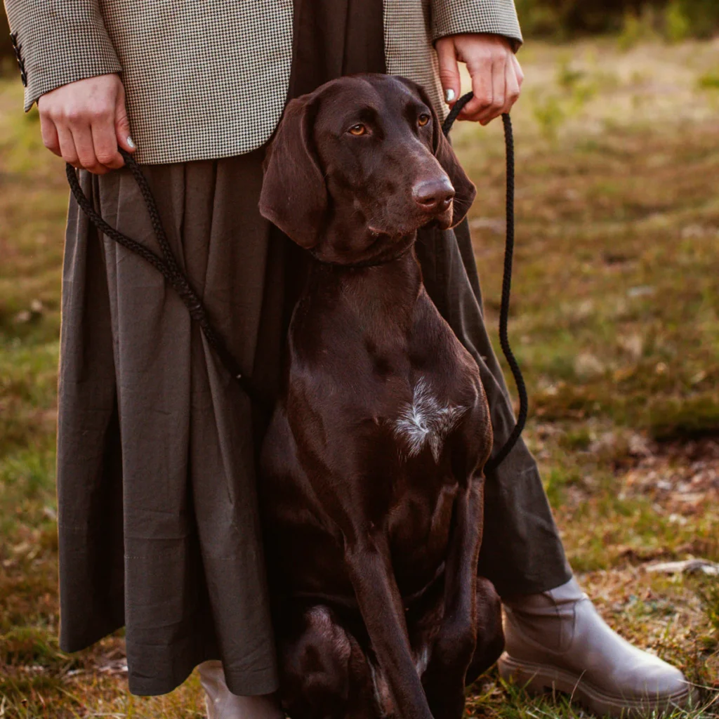 3_8881e00c-aa88-43c9-b416-72b1250a6841