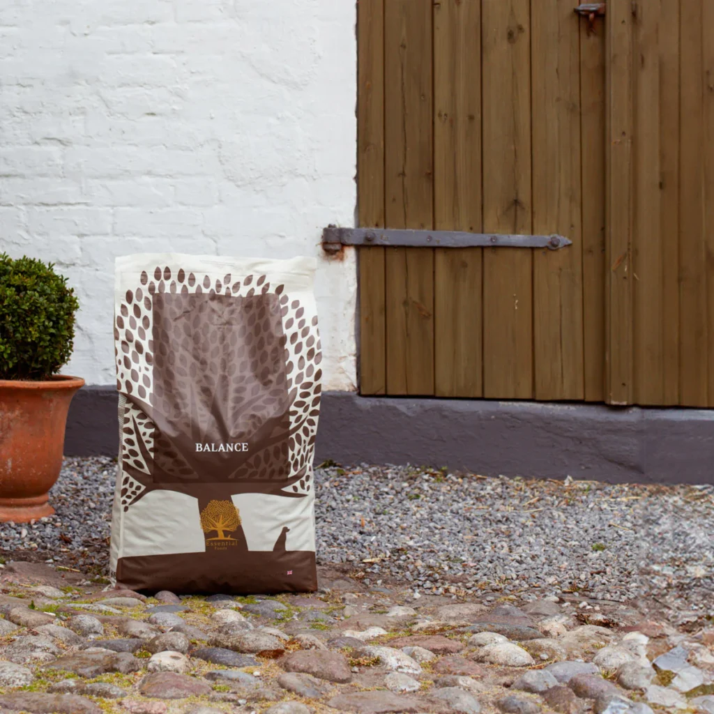 BALANCE_Product-Image_Highres_Essential-Foods