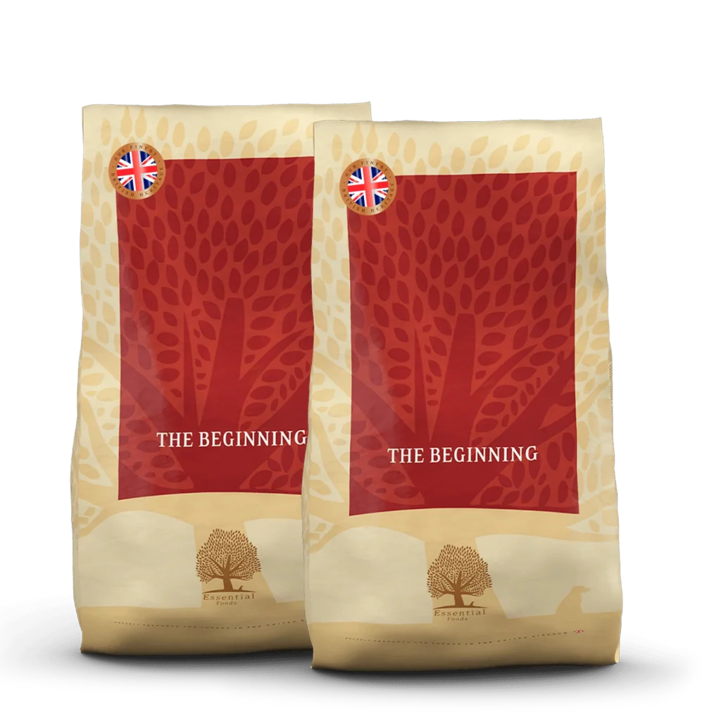 essential-the-beginning-small-breed-10kg-x-2-uk