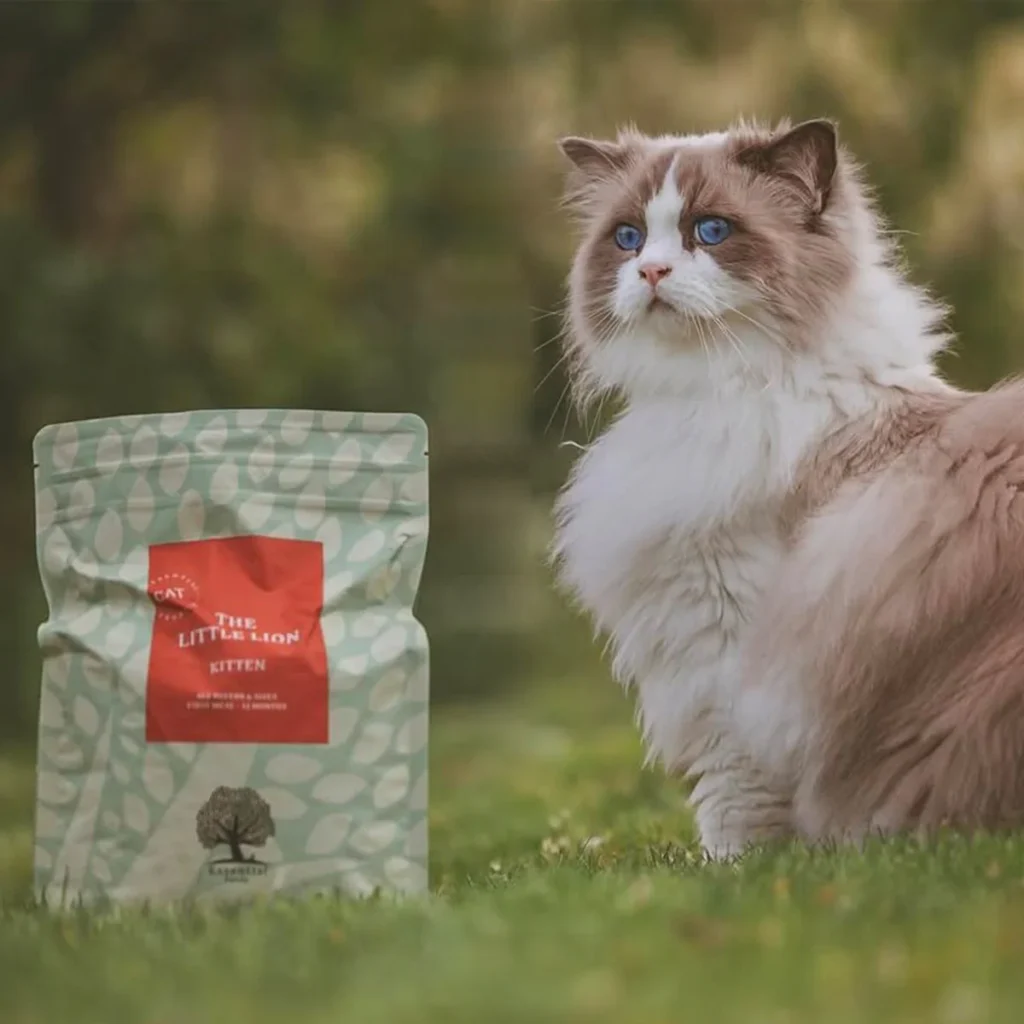 CAT-_nordicmalamutes_2