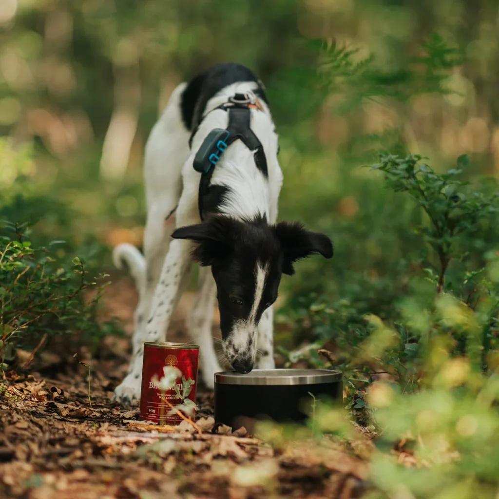 IMG_5839_2_b99c818c-6f3f-467e-96b3-864092b0d8c3