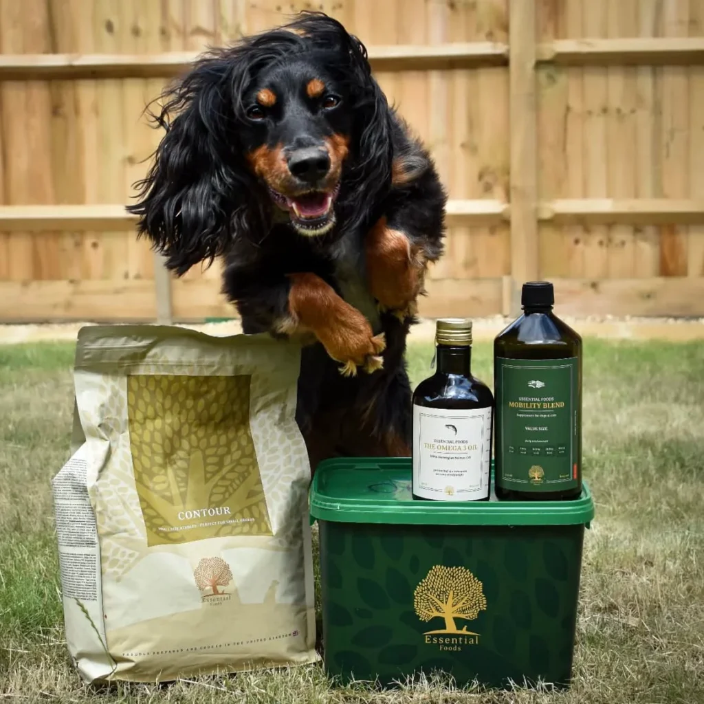 IMG_5889_06ec70c0-1572-48e7-93c7-dc19a9870687