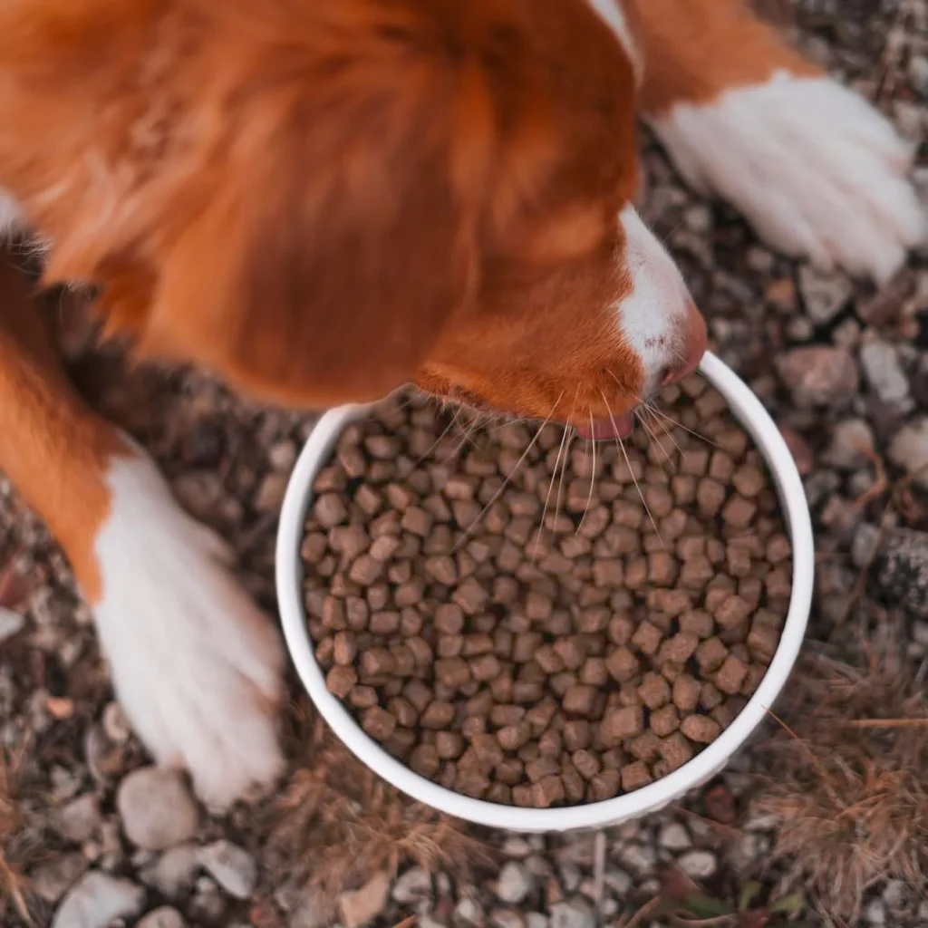 IMG_6115_347a1e94-d9e3-4548-9e28-a28442cc08cd