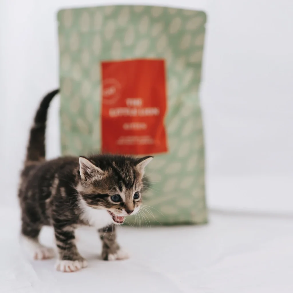 comida gatitos calidad