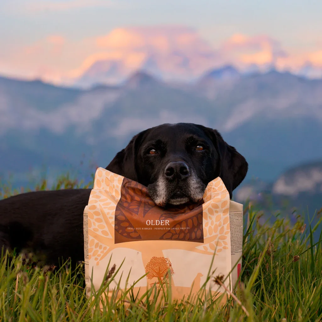 OLDER-_junior_the_copenhagen_lab