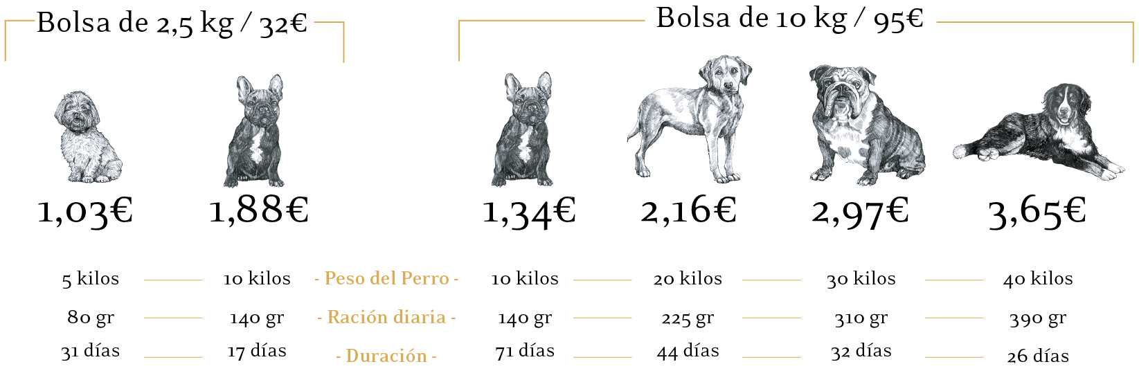 ración día perros con cocina uk bienestar animal