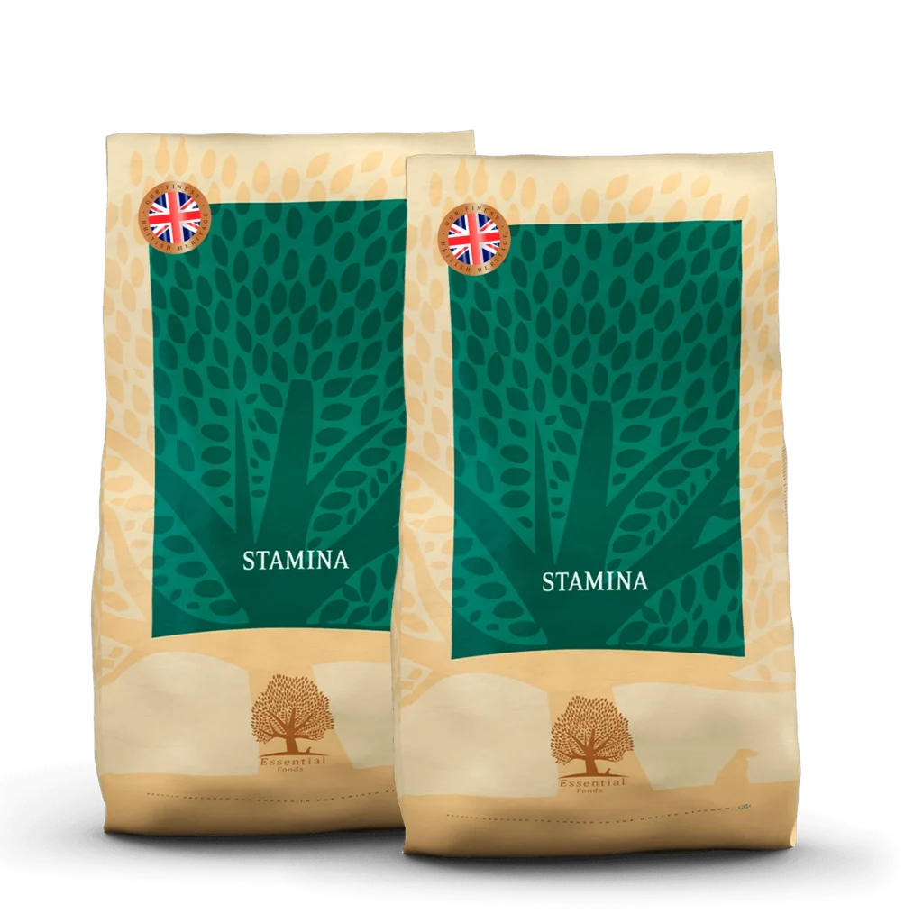 ESSENTIAL STAMINA 10KG x 2 UK