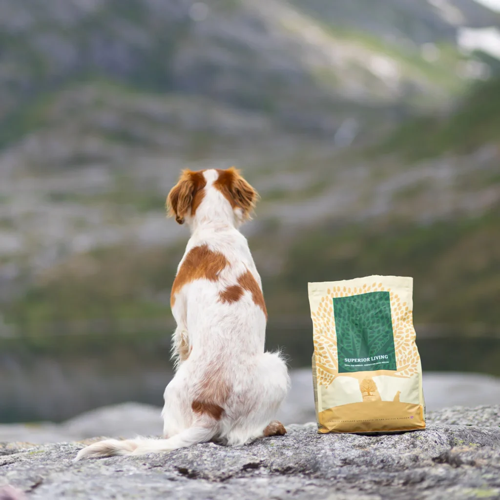 Superior-Living_-_vilmathedog