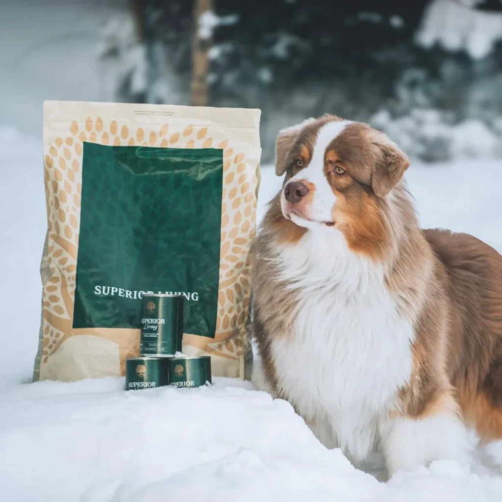 Superior-x-winter-from-_blueshade_aussies