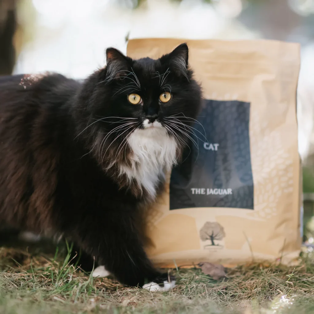 Comida de gatos premium