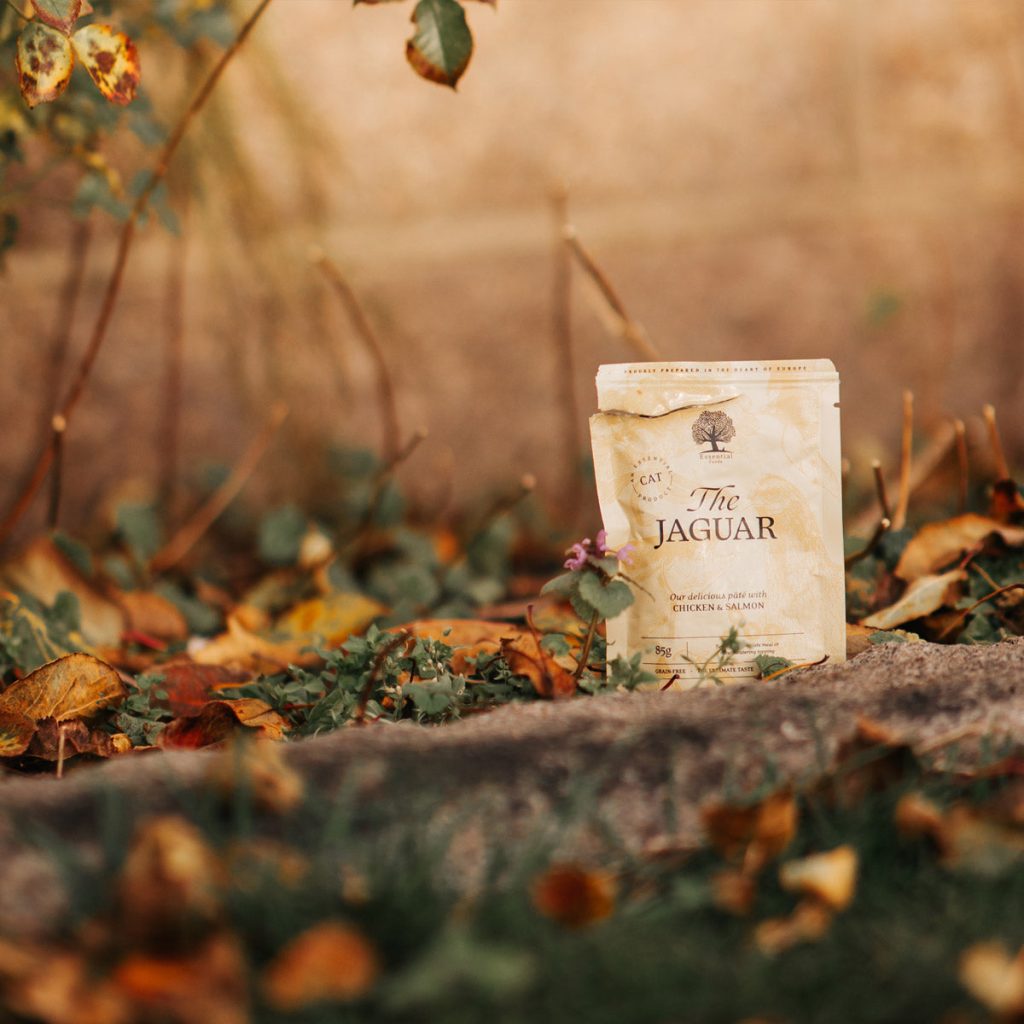 CAT-_nordicmalamutes-2_d97da1c7-b61f-46e8-ba3d-738cb49583fc