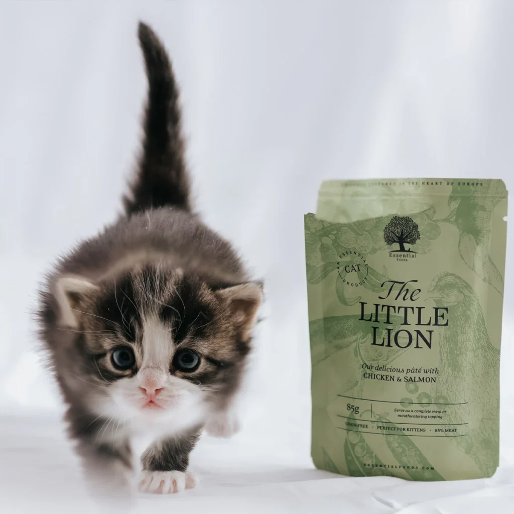 CAT-_nordicmalamutes-6