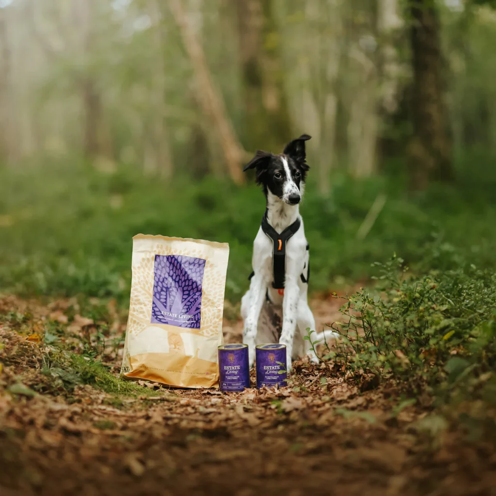 ESTATE-LIVING-1-_whippetvilja