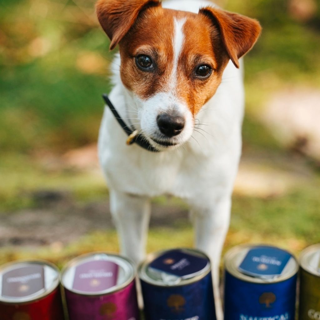 IMG_5782_366640f9-a5f0-4947-92d9-2a062fa6705e