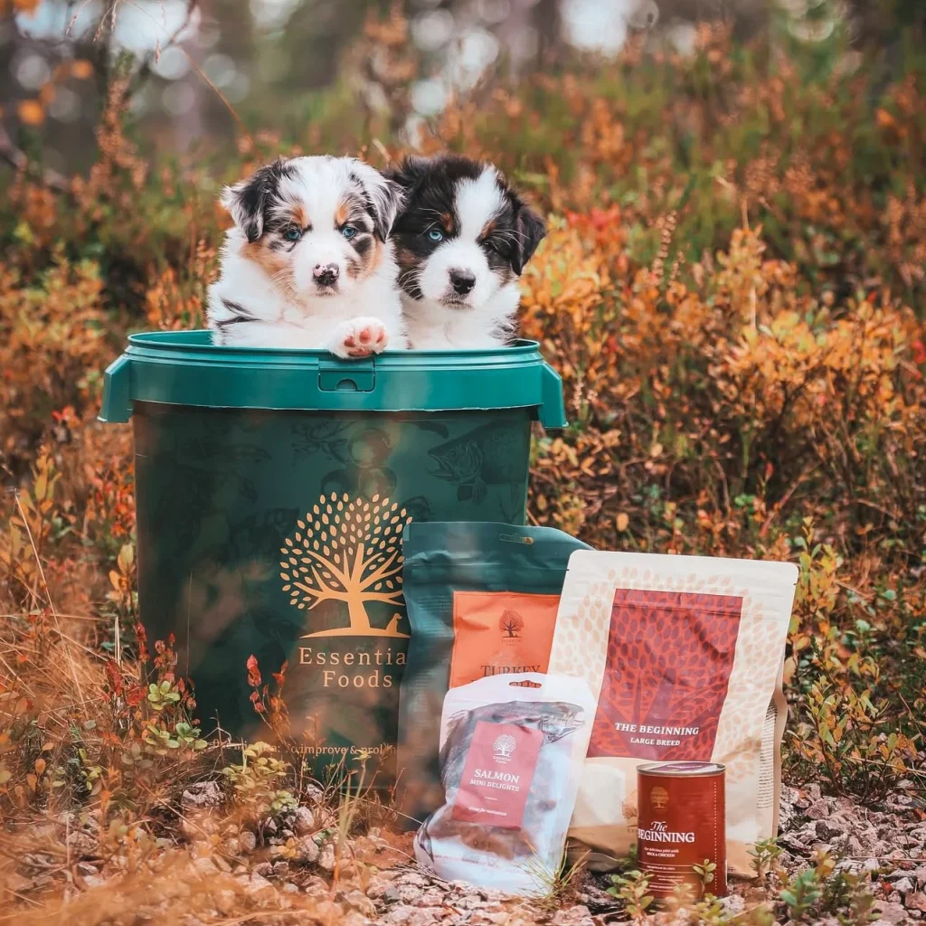 IMG_5839_a8cc1984-e906-4f21-b93e-5e121eca7f32