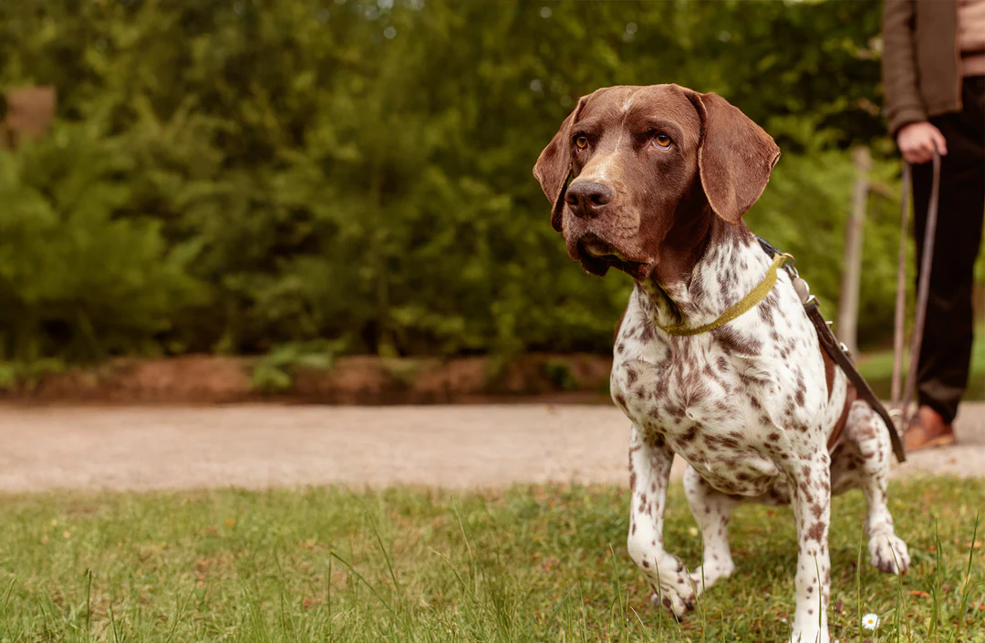¿Necesitas una menta?