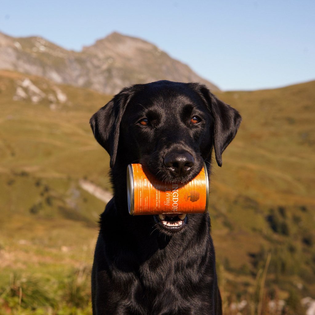 Kingdom-L-_junior_the_copenhagen_lab