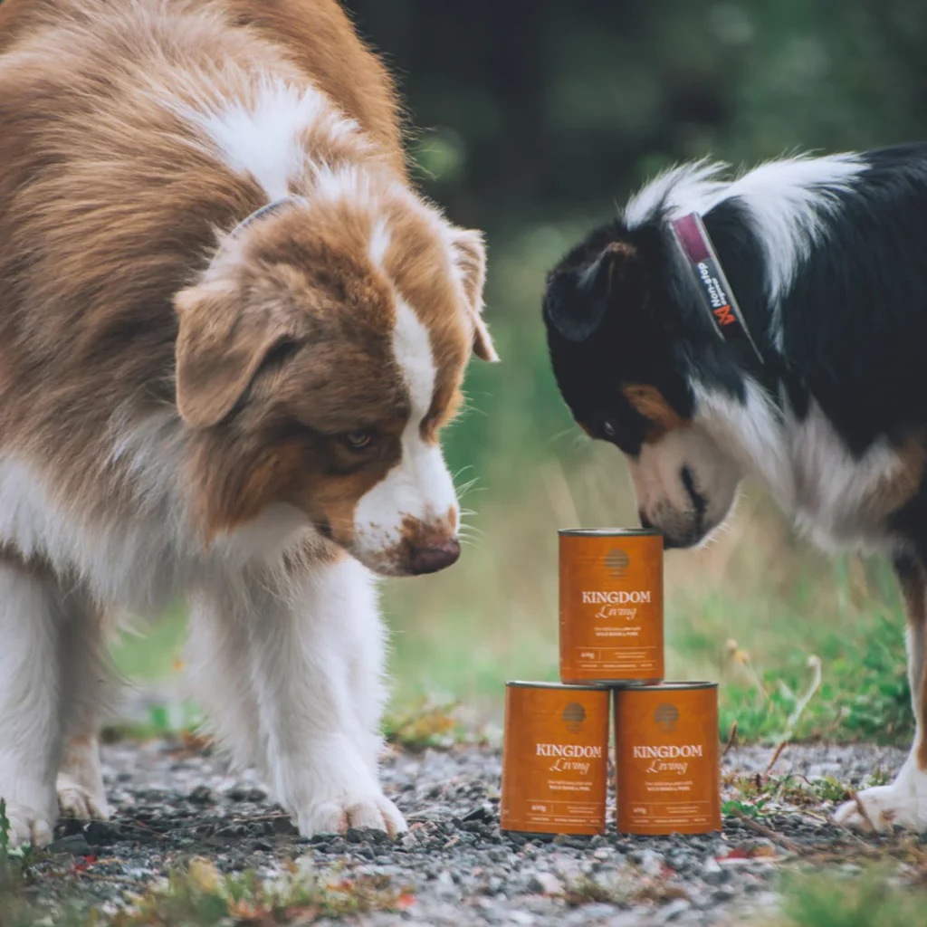 Kingdom-Living-Pate-from-_blueshade_aussies