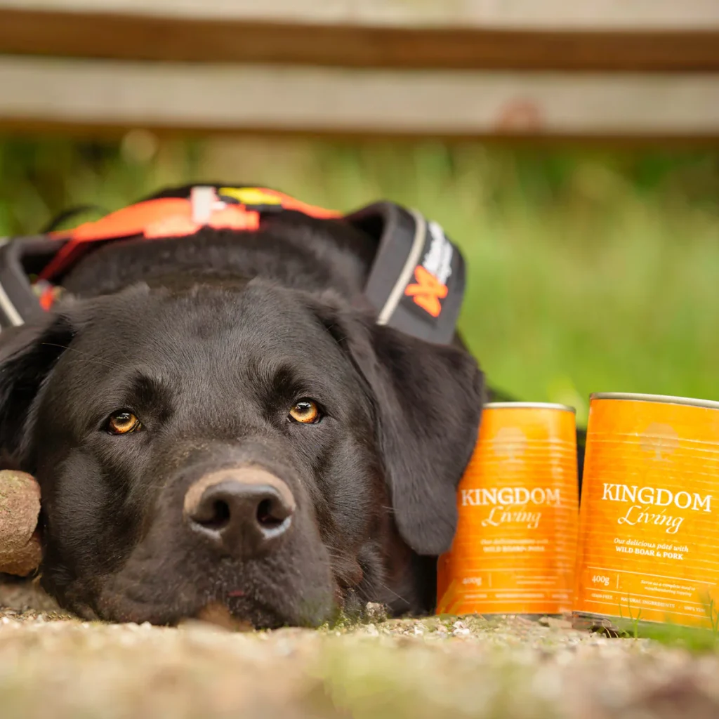 Kingdom-Living-_eventyrlabber