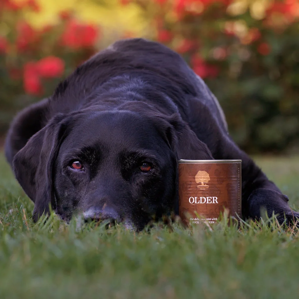 Older-pate-1-_junior_the_copenhagen_lab