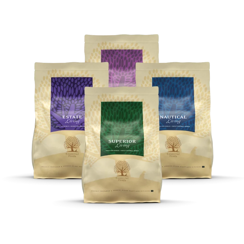 Pack living essential foods receta tradicional