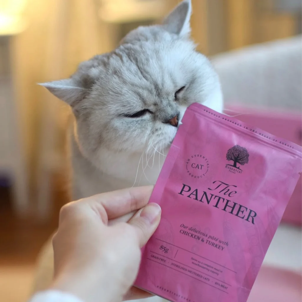 Panther-pate-1