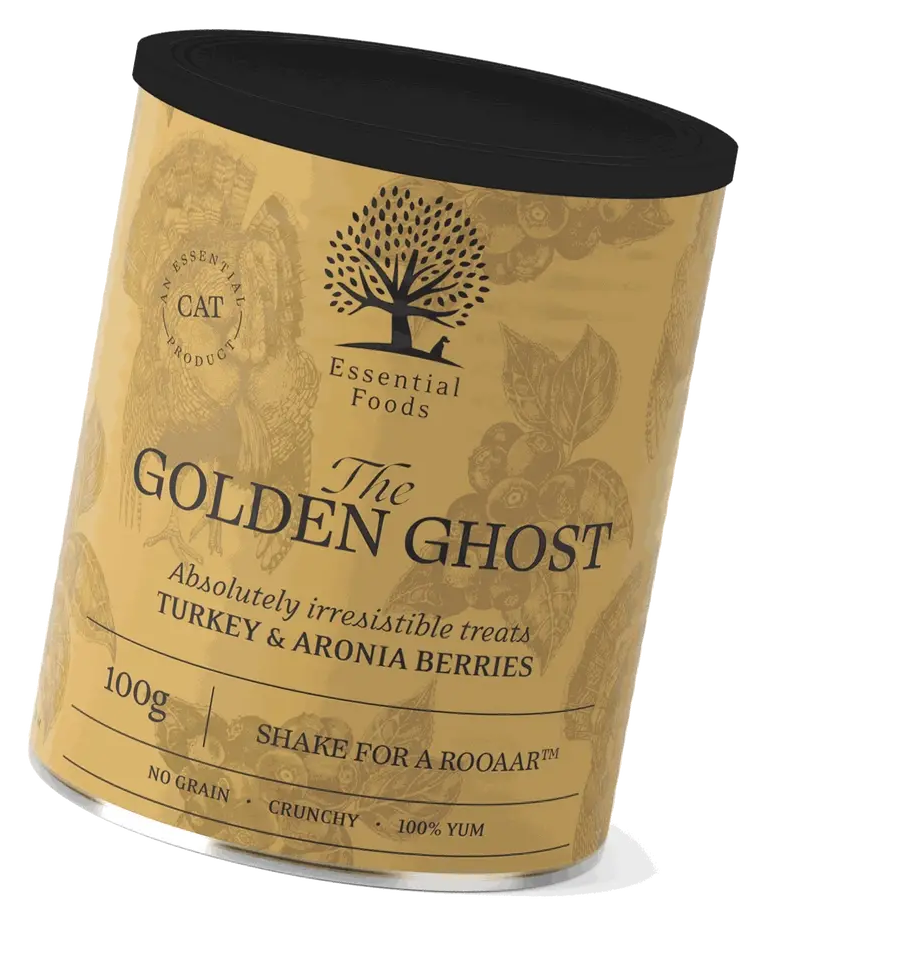 the_golden_ghost_tilt_shake_padded_transparent