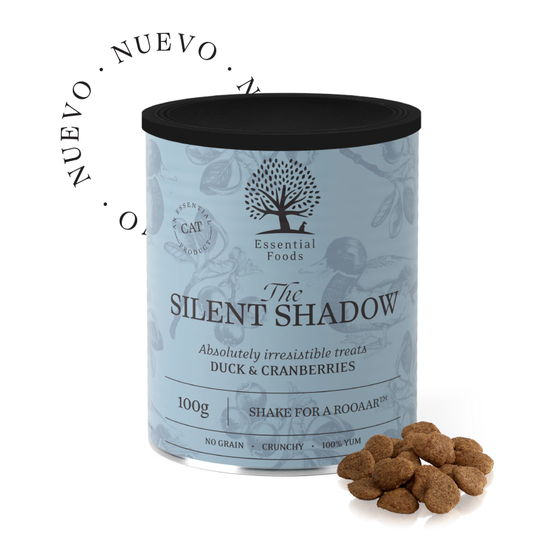 THE SILENT SHADOW
