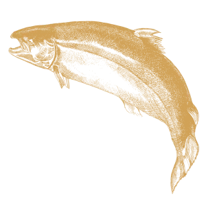 Salmón de acuicultura responsable