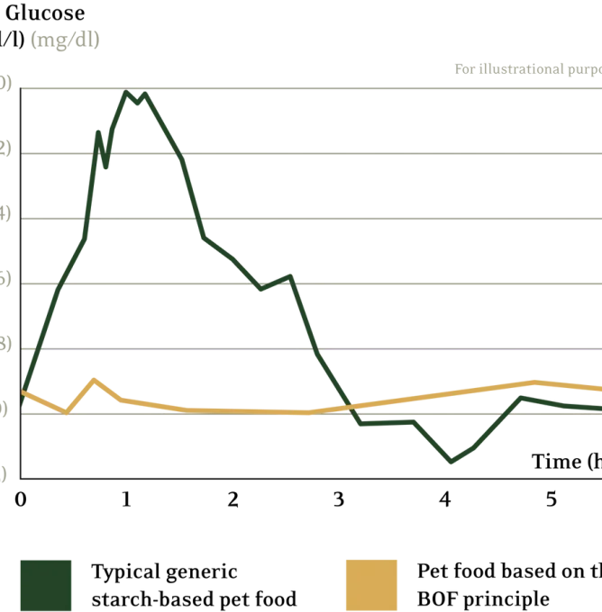 BOF_graf_Transperant_smal