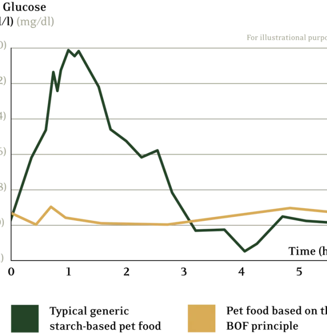 BOF_graf_Transperant_smal