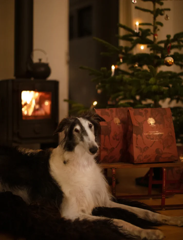 Christmas_1__zarwoe.oligarch_1